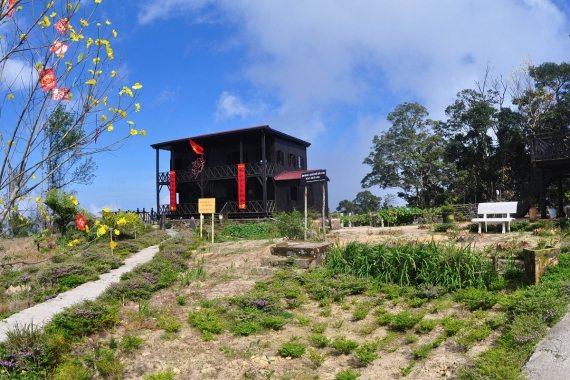 HÒN BÀ VÀ NHÀ BÁC HỌC YERSIN